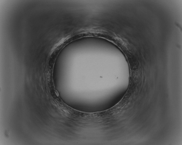 X0000097801159200803281028