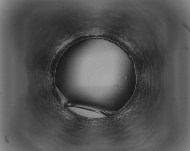 X0000097801160200803281028