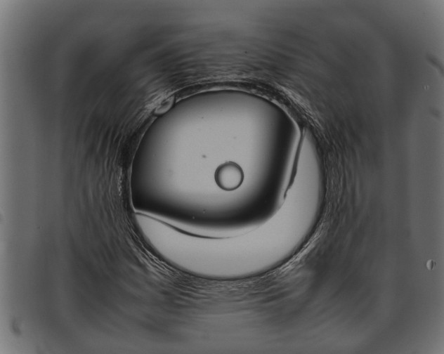 X0000097801161200803281028