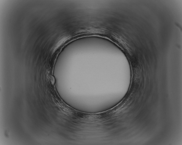 X0000097801163200803281028