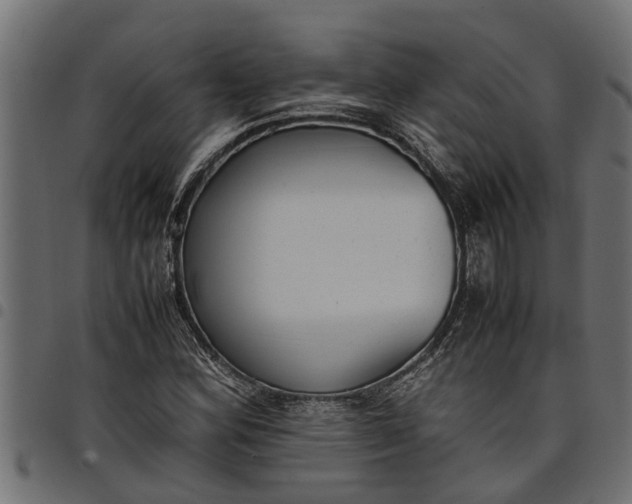 X0000097801164200803281028