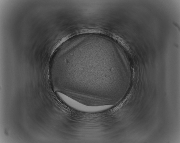 X0000097801165200803281028