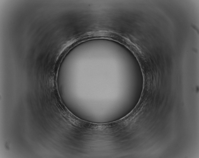 X0000097801166200803281028