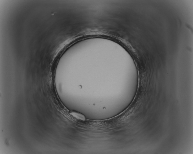 X0000097801167200803281028