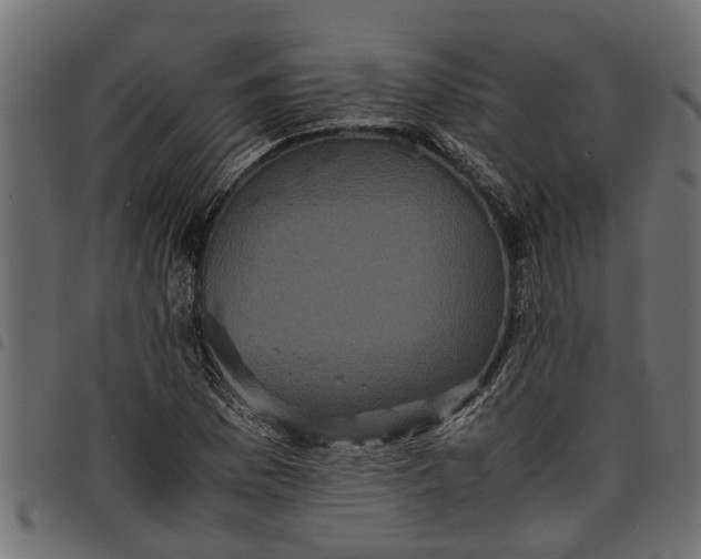 X0000097801169200803281028