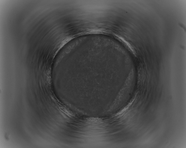 X0000097801170200803281028