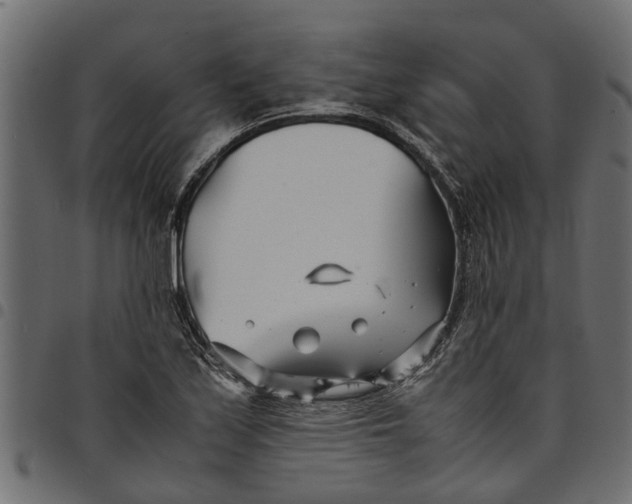 X0000097801171200803281028