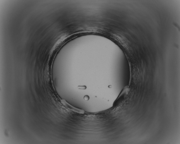 X0000097801172200803281028