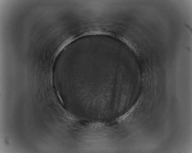 X0000097801173200803281028