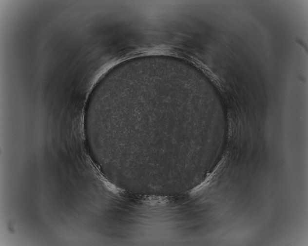 X0000097801174200803281028