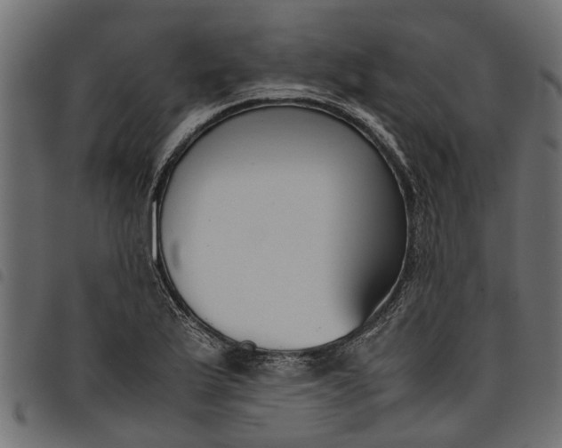 X0000097801175200803281028