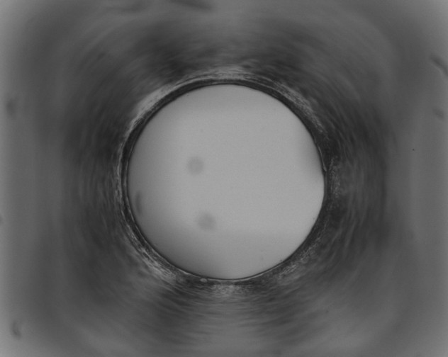 X0000097801176200803281028