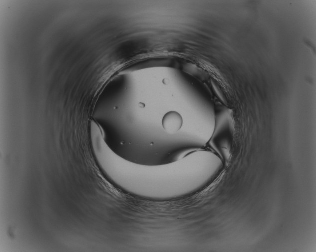 X0000097801177200803281028