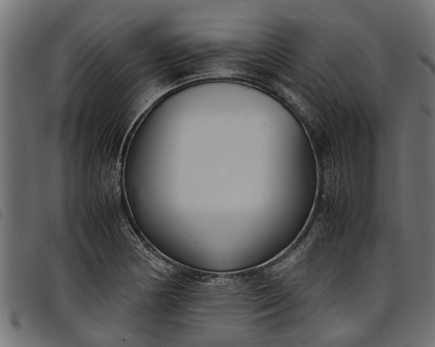 X0000097801178200803281028