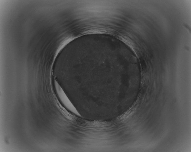 X0000097801179200803281028