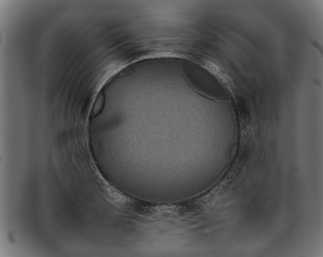 X0000097801181200803281028