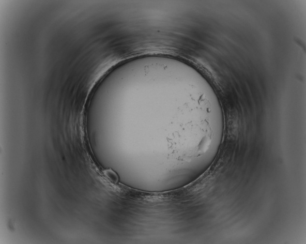 X0000097801182200803281028