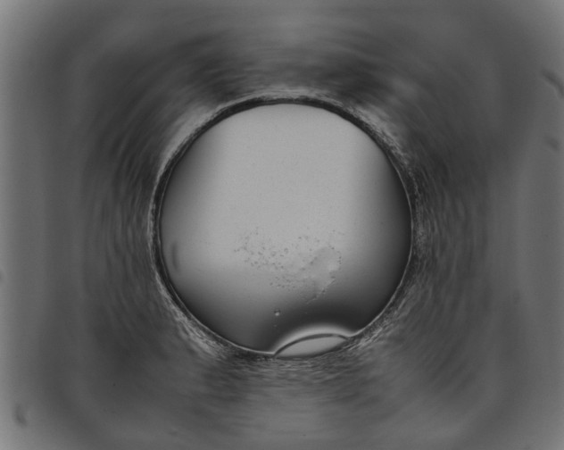 X0000097801183200803281028