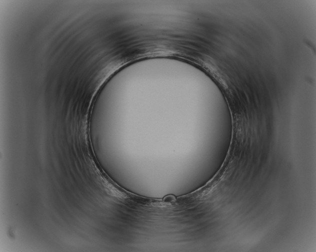 X0000097801186200803281028