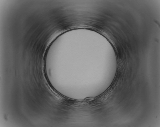 X0000097801187200803281028