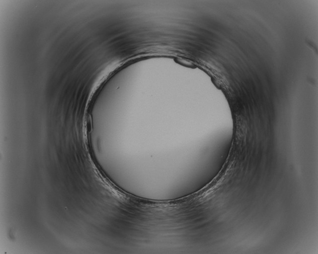 X0000097801188200803281028