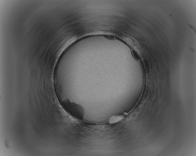 X0000097801189200803281028