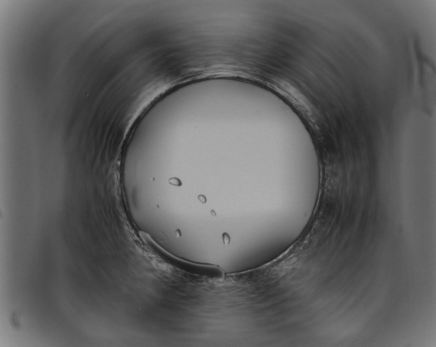 X0000097801190200803281028