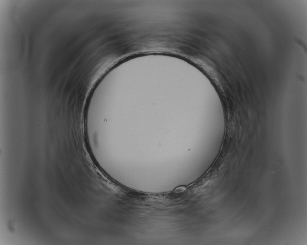 X0000097801191200803281028