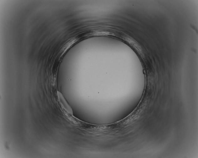 X0000097801193200803281028