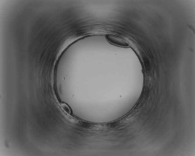 X0000097801195200803281028