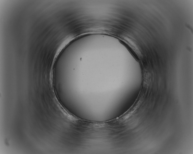 X0000097801196200803281028