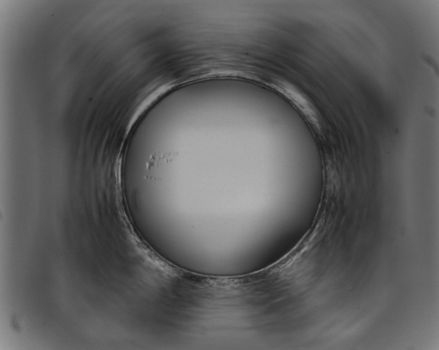 X0000097801198200803281028