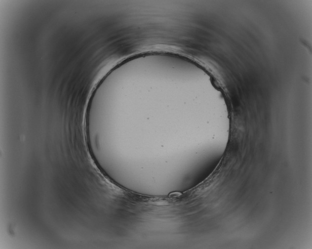 X0000097801199200803281028