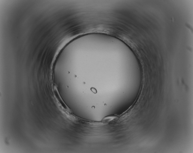 X0000097801200200803281028