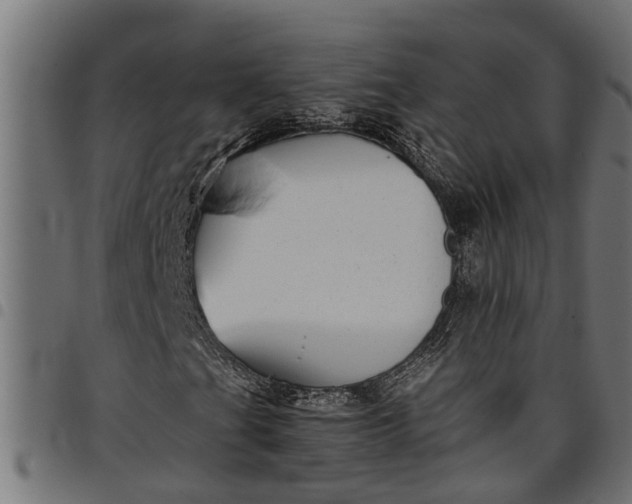 X0000097801201200803281027