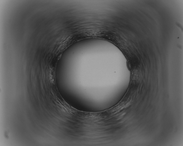 X0000097801202200803281027