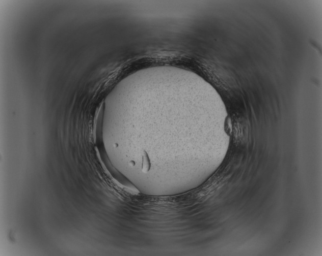 X0000097801204200803281027