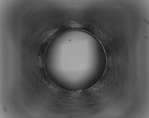 X0000097801205200803281027