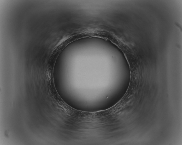 X0000097801206200803281027