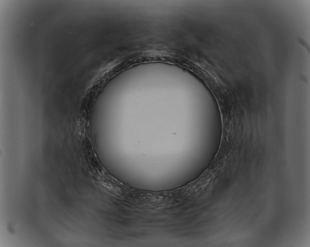 X0000097801207200803281027