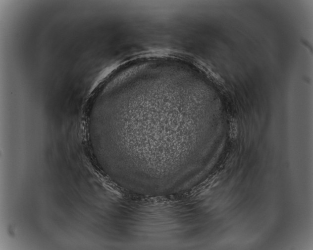 X0000097801208200803281027