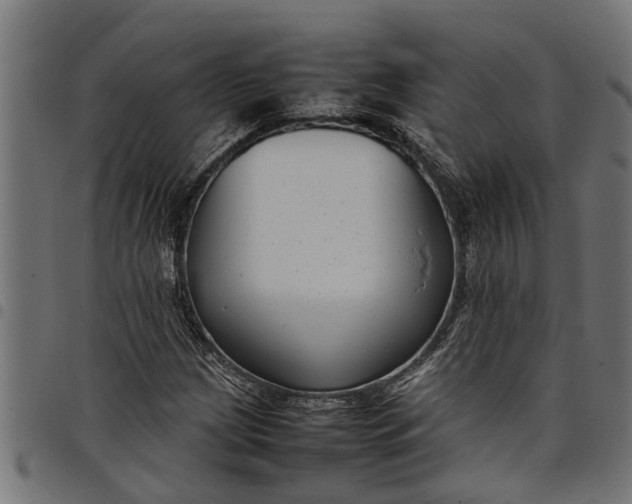 X0000097801209200803281027