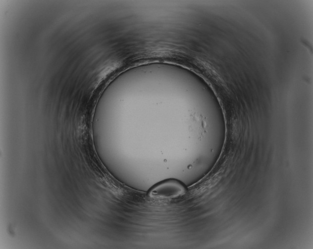 X0000097801210200803281027