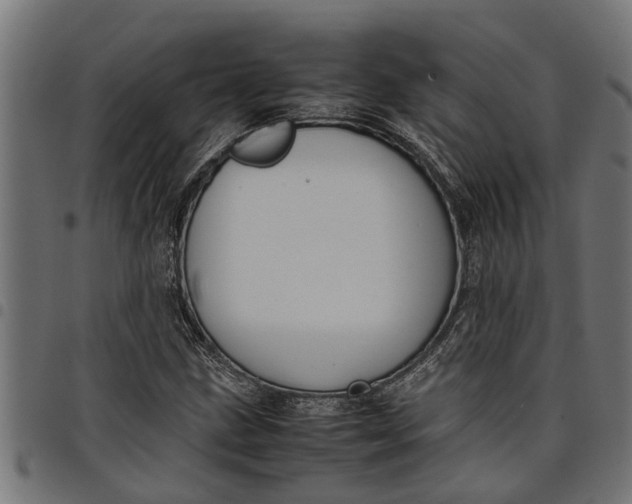 X0000097801211200803281027