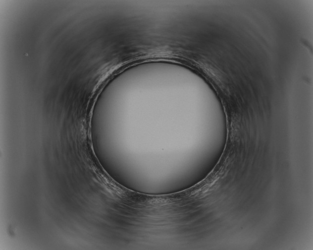 X0000097801212200803281027