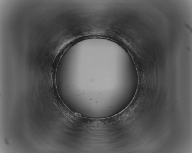 X0000097801214200803281027