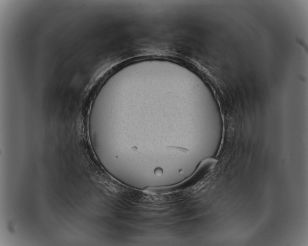 X0000097801215200803281027