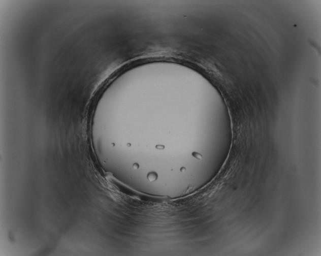 X0000097801216200803281027