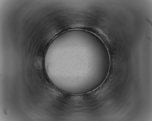 X0000097801217200803281027