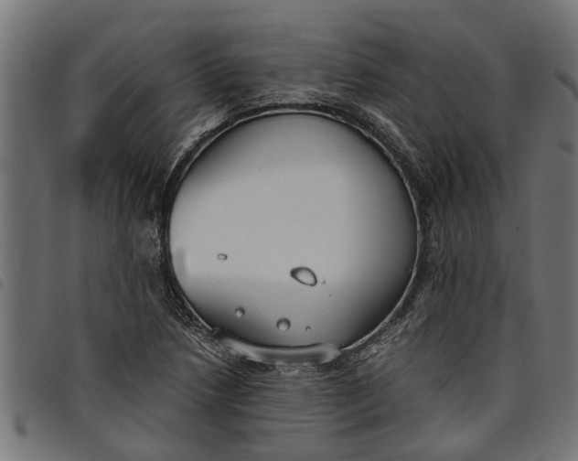 X0000097801218200803281027